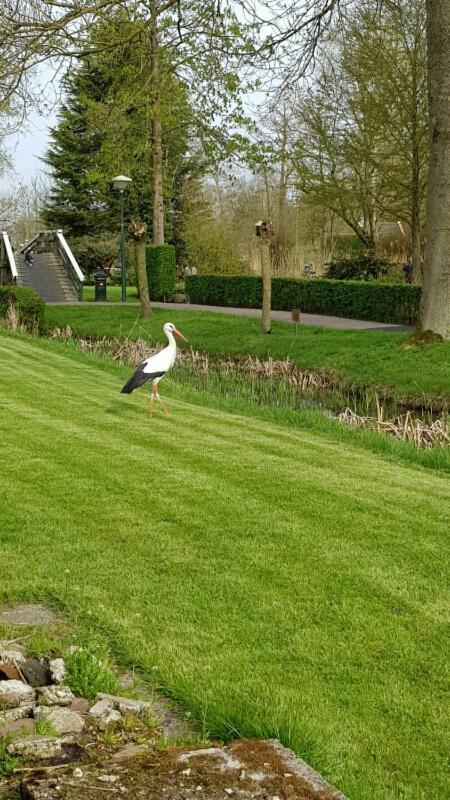 Farmhouse Lodge Giethoorn Eksteriør billede